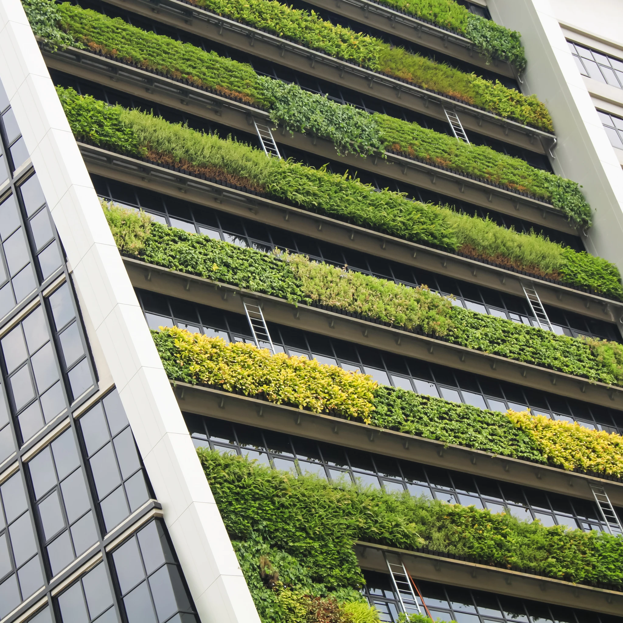Reduce financed emissions for real estate equity investments by 50% from 2019 baseline