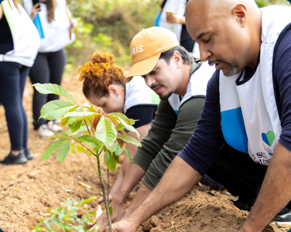 Chapter 1: Sustainability in the New Frontier