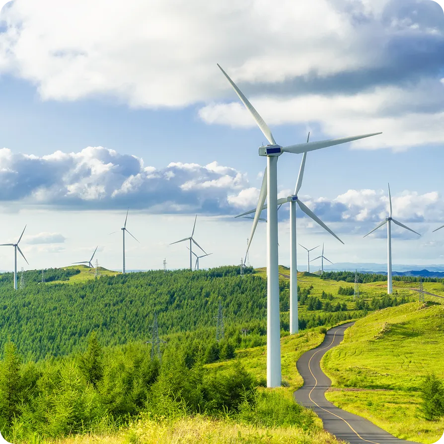 Reduce Scope 1, 2 and 3 business travel emissions by 50% from 2019 baseline.